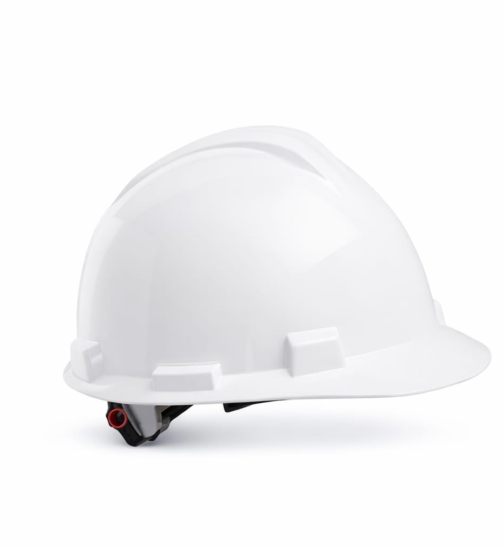 WhatsApp Image 2026-02-11 at 4.23.27 PM (1)